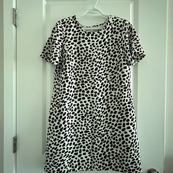 ANN TAYLOR • Animal Print Short Sleeve Dress • 6P • - Picture 2 of 8